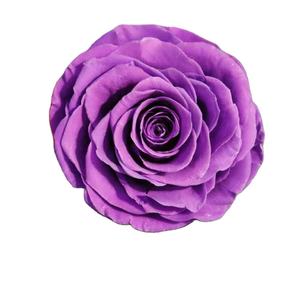 Roses <span class=keywords><strong>éternelle</strong></span>s avec fleurs er, 7/lot, Roses conservées, vente en gros - Product Image 5