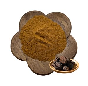 Số lượng lớn fallopia MULTIFLORA chiết xuất từ rễ bột, củ fleeceflower gốc, fo-ti chiết xuất từ rễ <span class=keywords><strong>polygonum</strong></span> <span class=keywords><strong>multiflorum</strong></span> chiết xuất - Product Image 2