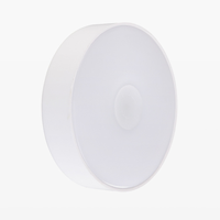 Nouveau port de charge type-c corps rond détection lumière télécommande magnétique intelligente charge veilleuse en gros