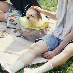 Evcil hayvan taşıyıcı s & seyahat ürünleri seyahat yavru köpek taşıma çantası Pet seyahat Tote çanta köpek evcil hayvan taşıyıcı çanta - Product Image 5