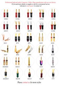 RASANTEK Hi-Fi Y enchufe chapado en oro altavoz pala enchufe cobre esmerilado pintura Shell Banana enchufes Audio tornillo tenedor conectores adaptador - Product Image 5