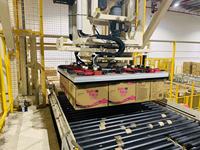 Robot industriel palettiseur avec ventouse à vide pour la manutention de palettes, sacs et boîtes, et empileur de palettes