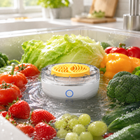 Machine à laver les fruits rechargeable 2400 mAh, purificateur de fruits et légumes étanche, machine de nettoyage des légumes au plasma de titane
