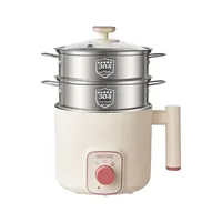 Yolecen 304 Casserole Électrique Multifonction Tout-en-un, Cuiseur à Riz, Vapeur, Pot à Nouilles Instantanées/Malatang pour Dortoirs