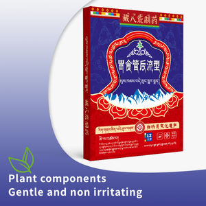 Promuovere la digestione regolare la funzione gastrointestinale materiale naturale a base di erbe del corpo cerotti da <span class=keywords><strong>reflusso</strong></span> gastroesofageo - Product Image 2