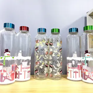 Bouteilles de jus de boisson de voyage personnalisées Bouteille d'eau en verre de 500 ml avec bouchon en acier inoxydable étanche