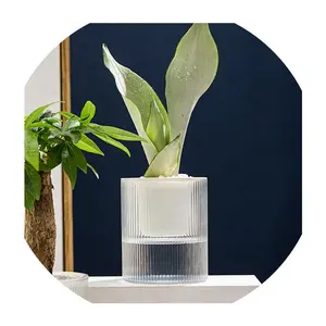 Tanaman sukulen penyerap air otomatis, pot bunga bonsai berkebun sukulen transparan khusus 3.0/4.5 inci