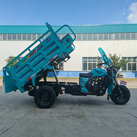 Tricycle de fret à moteur refroidi par air, fabrication sur mesure, robuste, autonomie de 400 km, pour service de livraison de marchandises en zones rurales isolées