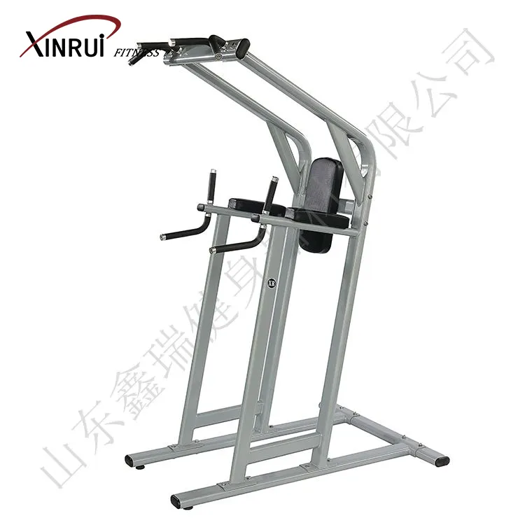Xinruifitness Famous Gym Equipment Supply Chin up dip gym fitness equipment XF36