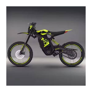 Excelente calidad 2025 SWM Binsen EX2 PRO 72v 40AH 380Nm PMSM Sistema de bicicleta de montaña eléctrica Terreno áspero Motocicletas todoterreno - Product Image 1