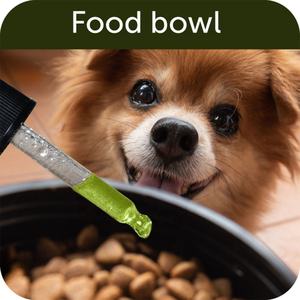 개와 고양이를위한 OEM 대마 오일 불안 스트레스 통증 완화 고관절 지원 개 진정 액체 보충제 오메가가 풍부 3-6-9 - Product Image 5