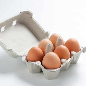 Биоразлагаемые коробки для яиц мякоти упаковка лоток для яиц черные пустые коробки для яиц - Product Image 3