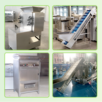Knoflookpoeder verwerkingslijn Knoflookpoeder productiemachine Knoflookproductielijn Knoflookpoeder productielijn