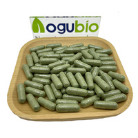 Complément alimentaire quotidien en capsules de chlorophylle à marque privée avec feuille de persil, chlorophylle de cuivre et de sodium, et capsules de feuille de menthe poivrée
