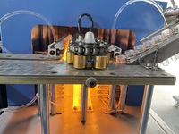Máquina Sopladora de Botellas de Plástico Semiautomática de 4 Cavidades para Botellas de Aceite Comestible para Mascotas, con Preformas y Cargador Automático