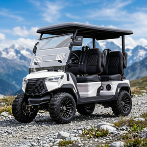 Carrito de Golf de Fácil Manejo, Estable en Todo Tipo de Terreno, Carrito de Golf Eléctrico para Clubes, para Carreteras No Públicas, con Certificación DOT y CE - Product Image 1