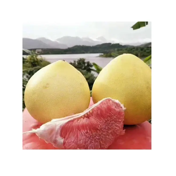 Chinesische frische Honig Pampelmuse Bester Preis Kunden spezifische Marke Grüne Haut Pampelmuse Grapefruit