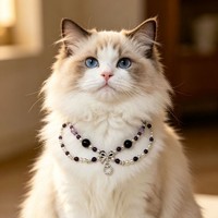 Collier pour animaux de compagnie en cristal naturel, collier en cuir, pendentif étoile en alliage, perles, bijoux pour chien et chat, cadeau pour les amoureux des animaux