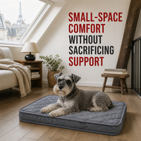Matelas orthopédique compact pour chien 58x43cm 8cm gris matelassé pour petits appartements européens