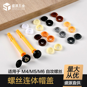 Capuchon de vis d'expansion Shengyuan, cache-vis autotaraudeur grande taille, protection décorative dissimulée, pièces en plastique 5060 - Product Image 4