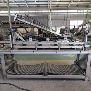 Máquina de embalaje peladora de ajo industrial Equipo de línea de producción completa Línea de máquina peladora de ajo industrial automática - Product Image 6