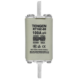 Fusible Tengen Rt16z 00 de 100A, Montaje en Panel Cerámico, Bajo Voltaje, Unipolar - Product Image 2