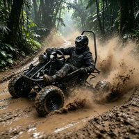 Quad utilitaire électrique 2000W, 90 km/h, 60V 50Ah, 4 roues, pour location commerciale, rentabilité élevée, approvisionnement direct usine, personnalisation