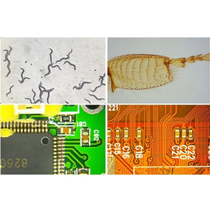 BestScope BS-3080B Infinito Paralelo Galileo Sistema Óptico Trinocular Zoom Stereo Research Microscópio Para solução de FIV - Product Image 6