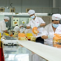 Liji Chinese OEM Brand Easy Cooking Dry Noodles Instant Restaurant Supermarket Box Low-Fat Low-Salt Durum Wheat
