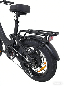 จักรยานไฟฟ้า QUEENE All Terrain ขนาด 20 นิ้ว 60V/72V Hentach มอเตอร์คู่ 1500 วัตต์ แบบ Low Step Thru ขับขี่เร็ว ระบบกันสะเทือนเต็มรูปแบบ รุ่น TDR03Z 7 สปีด - Product Image 6