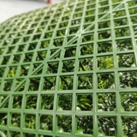 Mur végétal artificiel en plastique, gazon synthétique, imperméable et durable pour usage extérieur - Vente en gros