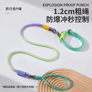 ปลอกคอและสายจูงแบบ 2-in-1 รุ่นใหม่ สาย P-rod แบบหนาและกว้างขึ้นเพื่อความสะดวกสบาย ไม่รัดมือหรือคอของคุณ - Product Image 3
