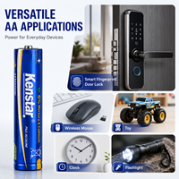 Offre Usine Exceptionnelle Piles Sèches AM3 Ultra Alcalines 2600 mAh 1.5 V LR6 AA, OEM ODM, Vente en Gros