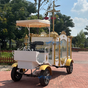 รถลิมูซีนสำหรับงานศพในยุโรป รถม้าไฟฟ้าสำหรับงานศพ รถม้าลากสำหรับงานศพสำหรับขาย - Product Image 3