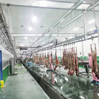 Ligne d'abattage complète pour moutons Maisheng, équipement d'abattoir halal pour agneaux, équipement d'abattage de moutons