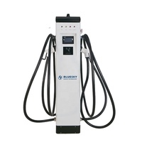 Chargeur de véhicule électrique Bluesky 43 kW-100 kW à montage au sol avec triple norme Type 1, Type 2, GBT pour parkings commerciaux