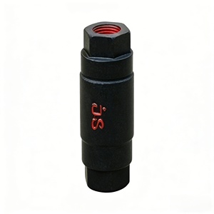 Válvula de Retención Vertical Pequeña Unidireccional H12X, Hierro Fundido Negro con Sello de Goma, Válvula de Entrada Simple para Bomba de <span class=keywords><strong>Agua</strong></span>, Válvula <span class=keywords><strong>Antirretorno</strong></span> - Product Image 5