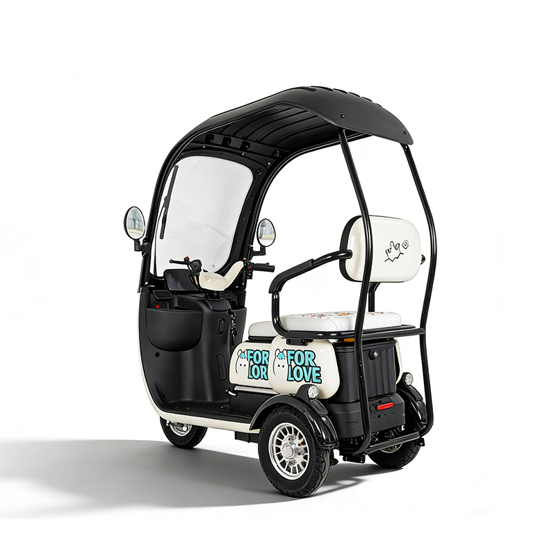 Factory Direct 1000w Electric Tricycles for