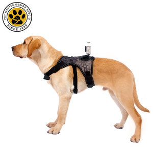 SinSky, recién llegado, accesorios para mascotas, respetuoso con el medio ambiente, correa para cámara deportiva para perros, estabilizador de cámara Go <span class=keywords><strong>Pro</strong></span>, arnés para perros - Product Image 4