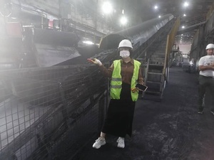 Năng suất cao chất lượng cao nhôm bột than bóng Máy ép áp lực cao bánh máy - Product Image 2