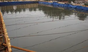 24kl 20ft container <span class=keywords><strong>flexitank</strong></span> cho dầu dừa Giao thông vận tải xử lý nước máy móc - Product Image 5