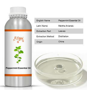 מנטה שמן אתרי mentha arvensis שמן מוחלט טבעי עיסוי טבעי שמן עיסוי כאב הקלה לחות עבור כל העור - Product Image 2