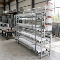 Cage à poules de type H pour l'élevage en intérieur, résistance à la corrosion, utilisable pendant 15-20 ans, 4 niveaux, 12 poules, 8 oiseaux