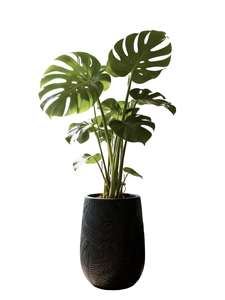 <span class=keywords><strong>กระถาง</strong></span>ปลูก<span class=keywords><strong>ต้นไม้</strong></span>แบบหมุนขึ้นรูป น้ำหนักเบา เป็นมิตรกับสิ่งแวดล้อม ใช้ได้ทั้งภายในและภายนอกอาคาร ขนาดใหญ่ สำหรับปลูกพืชในบ้านและสวน  <span class=keywords><strong>กระถาง</strong></span>ดอกไม้แบบหนาพิเศษ ทนทาน - Product Image 4