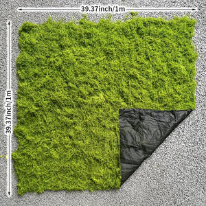 Al por mayor alfombra de <span class=keywords><strong>musgo</strong></span> real artificial Alambre de hierba de imitación realista para pared verde césped <span class=keywords><strong>español</strong></span> <span class=keywords><strong>musgo</strong></span> artificial - Product Image 5