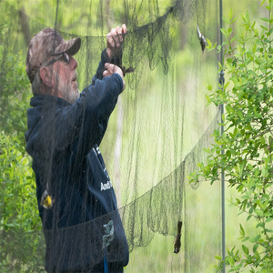 Rete di nebbia per uccelli da pesca in <span class=keywords><strong>Nylon</strong></span> Suntex, - Product Image 5