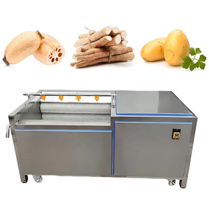 Máquina de lavado de verduras y frutas de acero inoxidable 304, 220/380V, para limpieza de raíz de loto, yam, jengibre, yuca y zanahoria - Product Image 2
