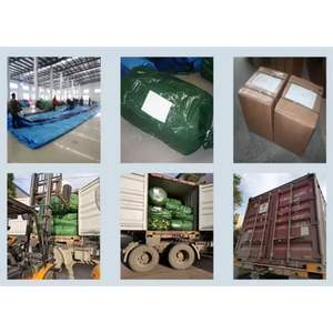 Parcours d'obstacles gonflable durable pour enfants avec des bords doux et une conception sécurisée pour les journées scolaires et les carnavals - Product Image 6