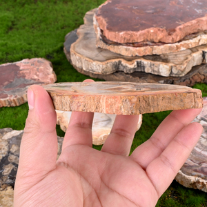 Natural Energy Crystal Healing Stone Petrified <b>Wood</b> <b>Slice</b> <b>Wood</b> Fossil Slab for Home Decoration - Product Image 3