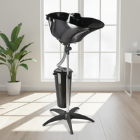 Bac de Lavage de Cheveux Portable en Plastique de Haute Qualité, Mobilier d'Accessoires de Coiffure pour Salons de Beauté et Barbiers